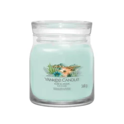 Aloe & Agave, candela giara media Yankee Candle
