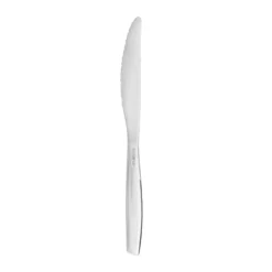 Coltello da frutta in acciaio inox