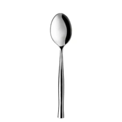 Cucchiaio Shiny in acciaio inox