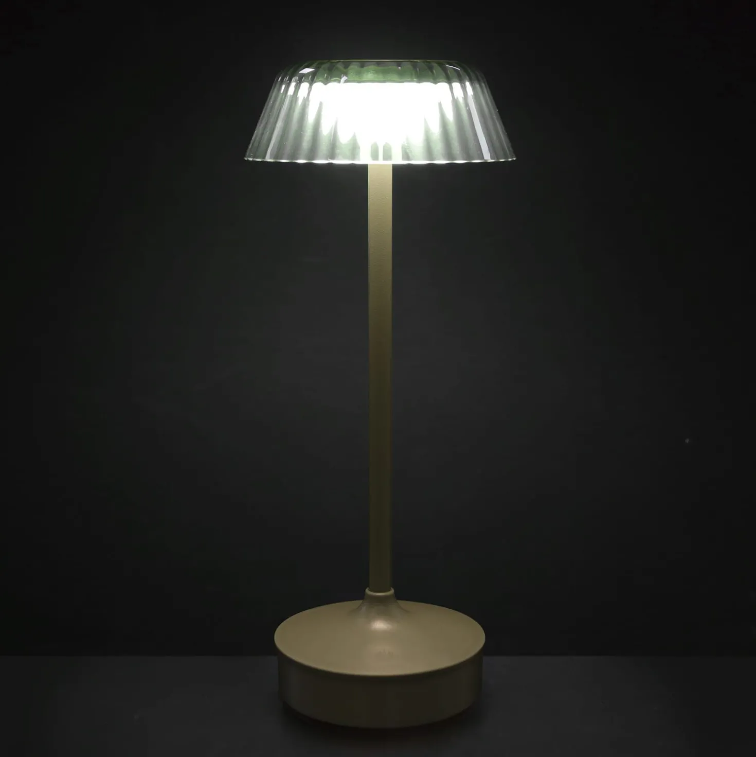 Lampada da tavolo touch 26,5 cm felce