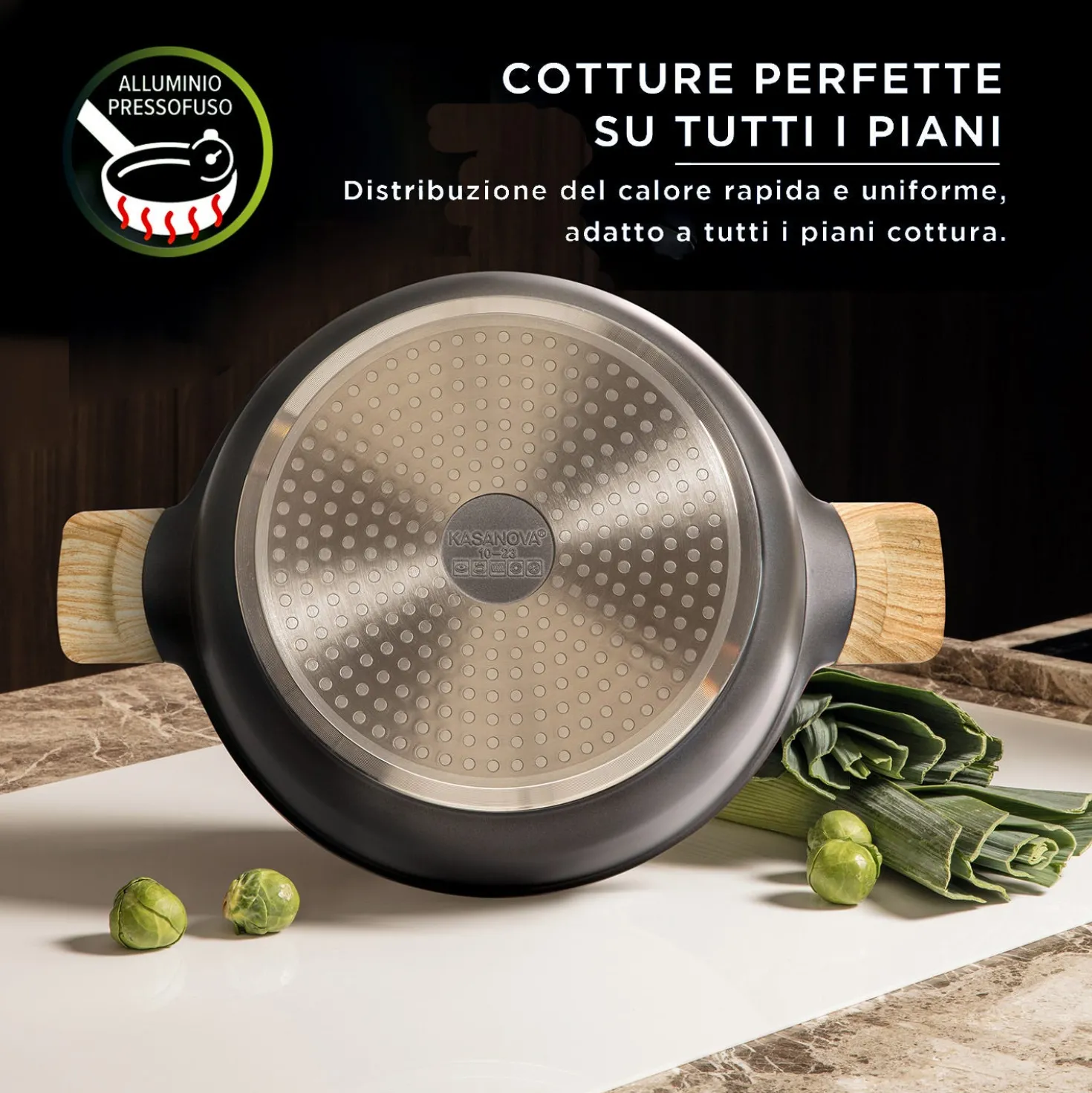 Pentola 22 cm con coperchio Evolution