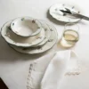 Set 24 piatti vintage rose